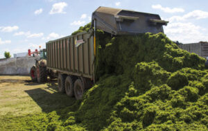 Lükandseinaga universaalhaagised